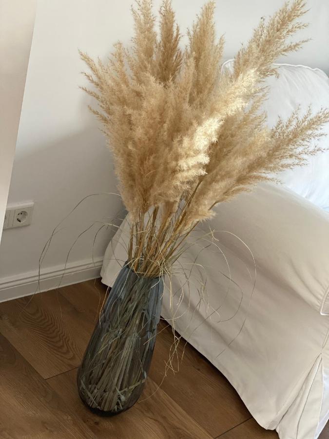 פלאנסבורג Ferienwohnung Mit Balkon Und Garten Og מראה חיצוני תמונה